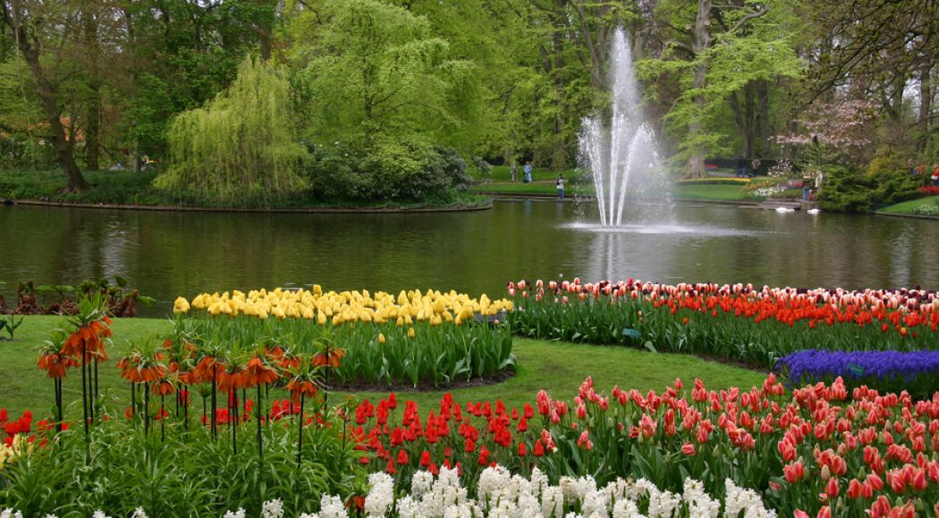 6 parcs et jardins en fleurs à visiter maintenant