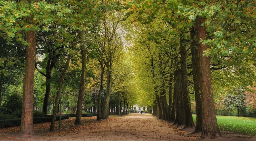 Les plus beaux parcs et jardins de Bruxelles - Bruxelles Secrète