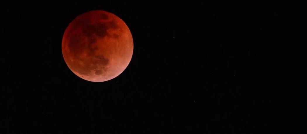 Photogallery of demi rose updates weekly. Observez la Super Lune rose en direct grâce à un télescope ...