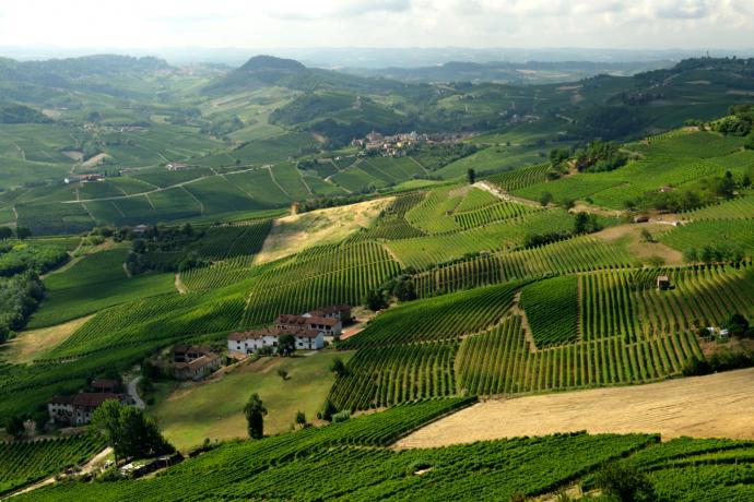 Vins d'Italie : zoom sur le Piémont et la Toscane - Autour du vin