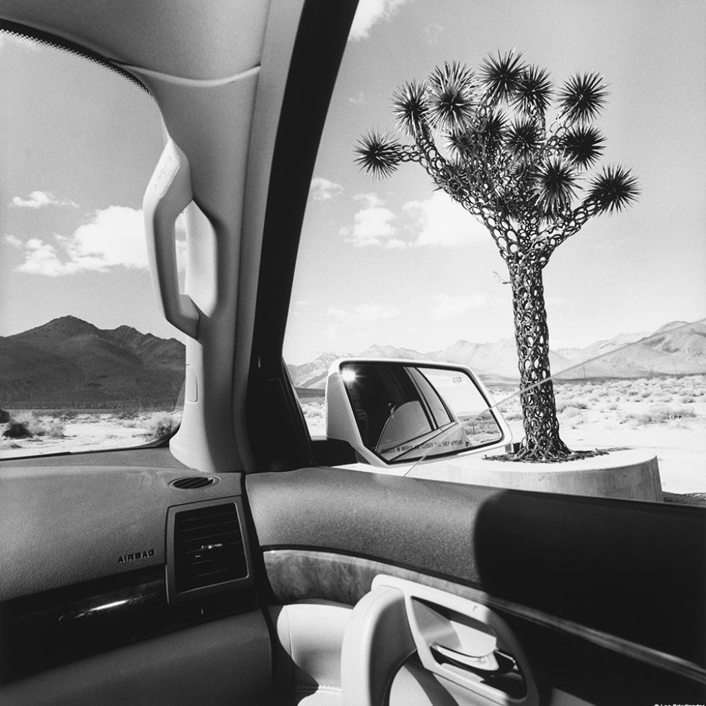 Lee Friedlander, California, série America by Car, 2008. 